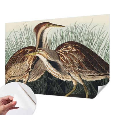 Papel mural con patrón decorativo con pájaros representados de forma realista