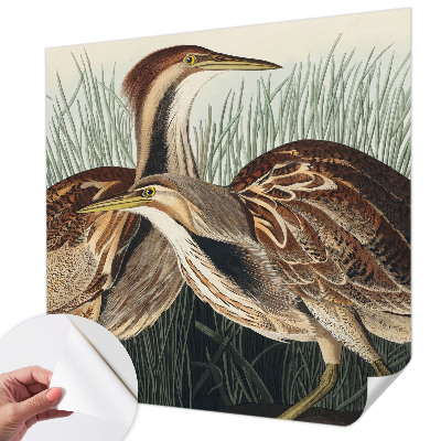 Papel mural con patrón decorativo con pájaros representados de forma realista