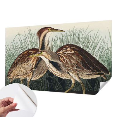 Papel mural con patrón decorativo con pájaros representados de forma realista