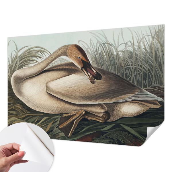 Mural de pared con estampado hermoso Ave natural