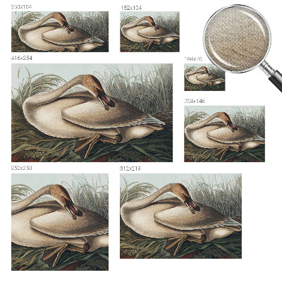 Mural de pared con estampado hermoso Ave natural