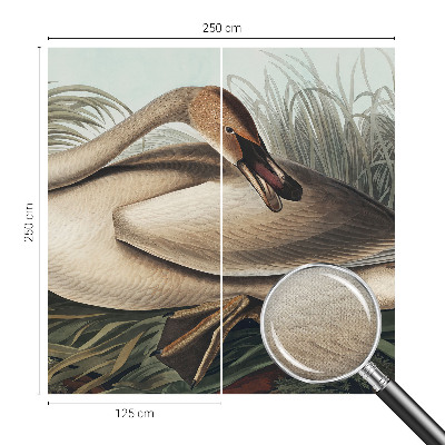 Mural de pared con estampado hermoso Ave natural