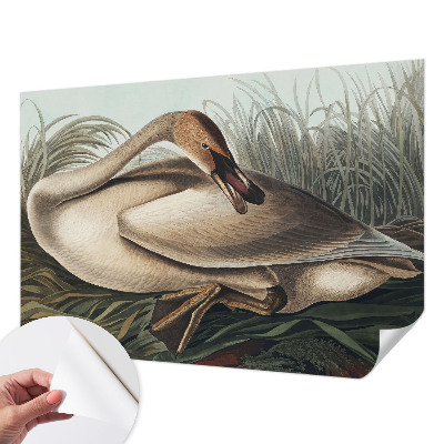 Mural de pared con estampado hermoso Ave natural