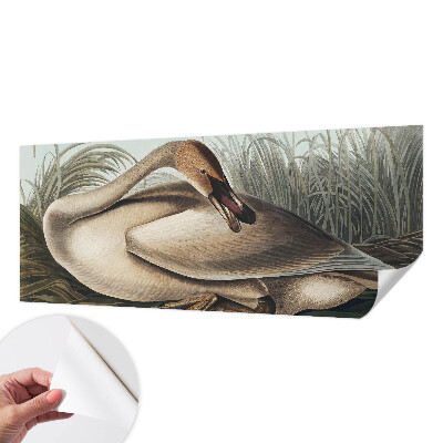 Mural de pared con estampado hermoso Ave natural