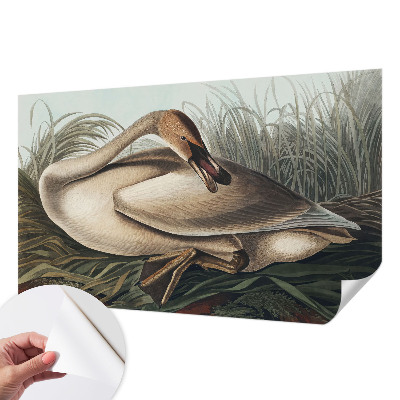 Mural de pared con estampado hermoso Ave natural