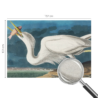 Papel mural texturado decorativo Pájaro con pez