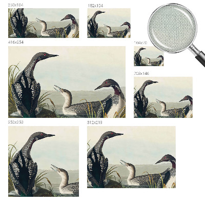 Fotomural decorativo para cabecero de cama con diseño de pájaros sobre el agua