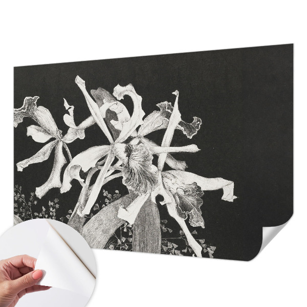 Papel mural con patrón decorativo con ilustración de orquídeas