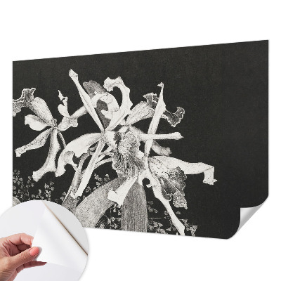 Papel mural con patrón decorativo con ilustración de orquídeas