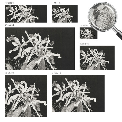 Papel mural con patrón decorativo Ilustración de orquídea