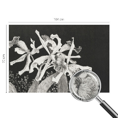 Papel mural con patrón decorativo con ilustración de orquídeas