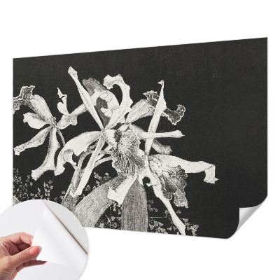 Papel mural con patrón decorativo con ilustración de orquídeas