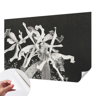 Papel mural con patrón decorativo con ilustración de orquídeas