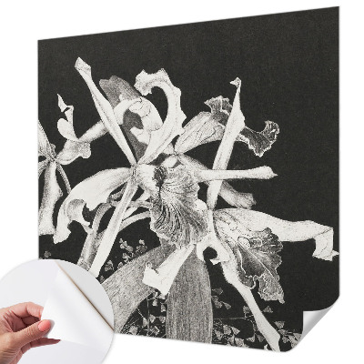 Papel mural con patrón decorativo con ilustración de orquídeas