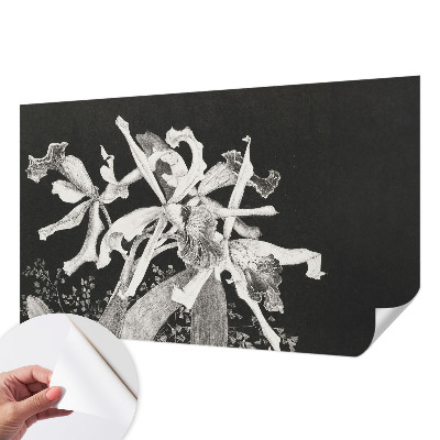 Papel mural con patrón decorativo con ilustración de orquídeas