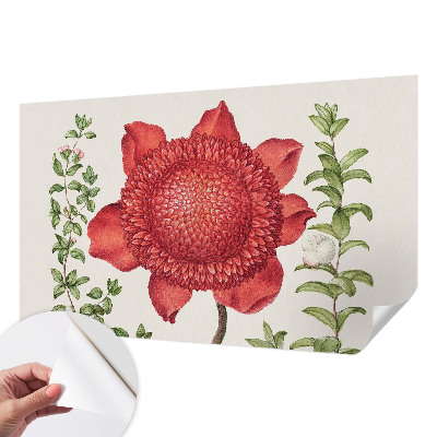 Mural de pared con estampado hermoso con motivo floral elegante