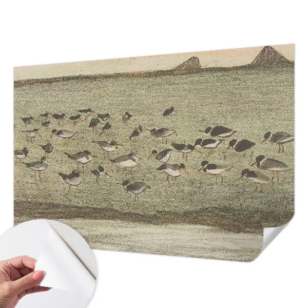Papel mural texturado decorativo con diseño «Paz de pájaro»