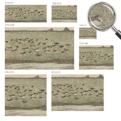 Papel mural texturado decorativo Paz de pájaro