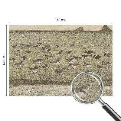Papel mural texturado decorativo con diseño «Paz de pájaro»