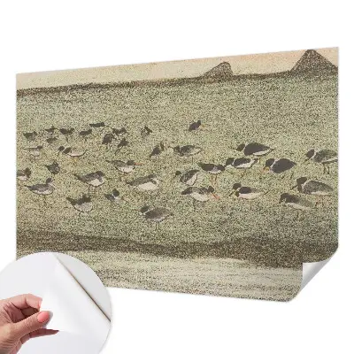 Papel mural texturado decorativo con diseño «Paz de pájaro»