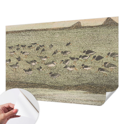 Papel mural texturado decorativo Paz de pájaro