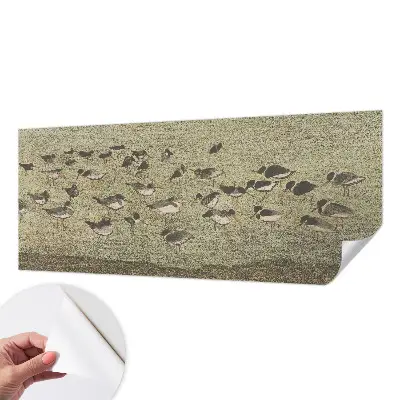 Papel mural texturado decorativo con diseño «Paz de pájaro»