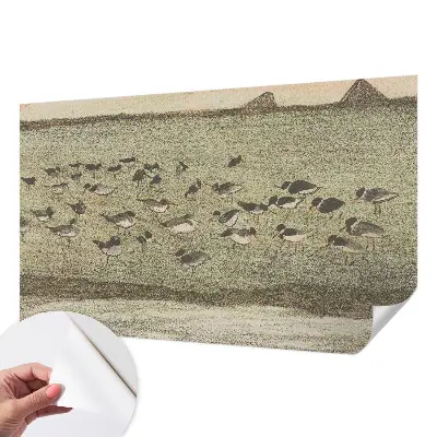 Papel mural texturado decorativo con diseño «Paz de pájaro»