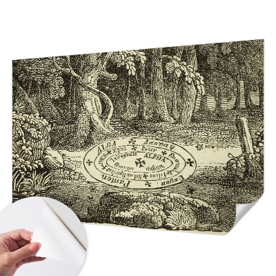 Papel mural texturado decorativo Círculo mágico