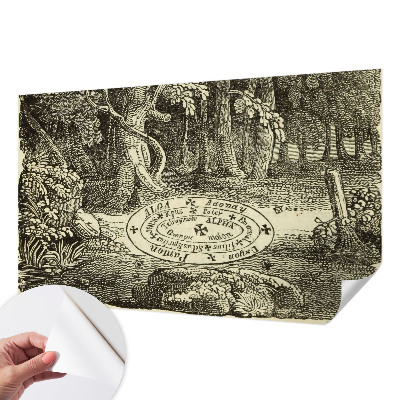 Papel mural texturado decorativo con diseño Círculo mágico