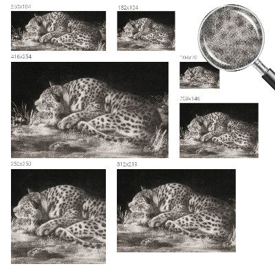 Papel mural texturado decorativo Leopardo descansando