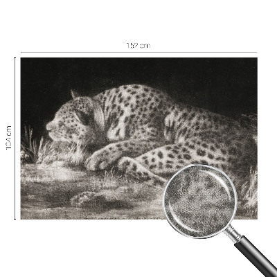 Papel mural texturado decorativo con diseño de un leopardo descansando