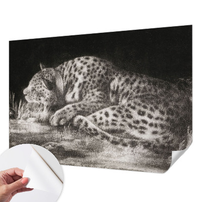 Papel mural texturado decorativo con diseño de un leopardo descansando