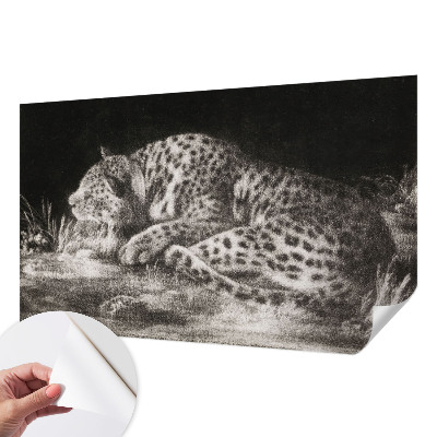 Papel mural texturado decorativo con diseño de un leopardo descansando