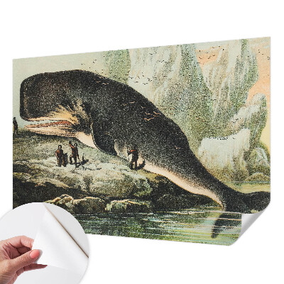 Papel mural texturado decorativo con diseño de gigantismo marino