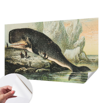 Papel mural texturado decorativo con diseño de gigantismo marino