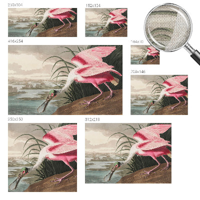 Papel mural con patrón decorativo Ave exótica