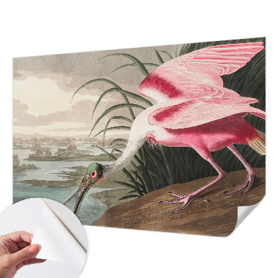 Papel mural con patrón decorativo con motivo de ave exótica