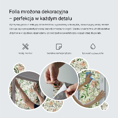 Vinilo decorativo adhesivo para cristales Patrones de plantas