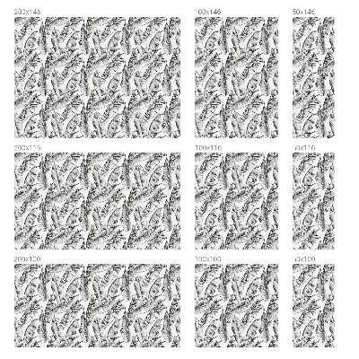 Vinilo decorativo adhesivo para cristales hojas tropicales