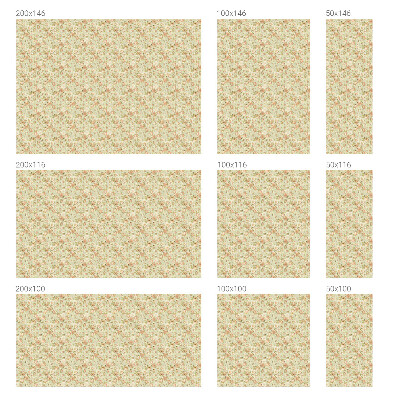 Vinilo decorativo adhesivo para cristales Elegancia floral