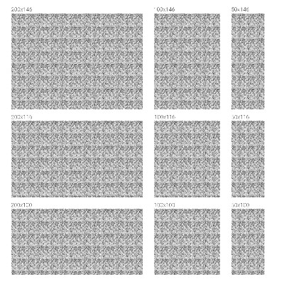 Vinilo para cristales opaco decorativo Elegancia floral