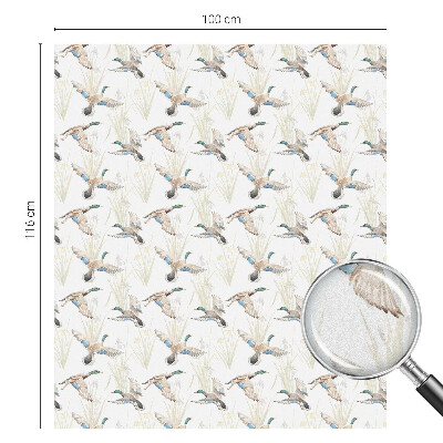 Vinilo para ventanas motivo vitral Aves naturaleza