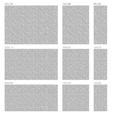 Vinilo decorativo adhesivo para cristales Elegancia frondosa