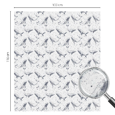 Vinilo para ventanas motivo vitral criaturas marinas