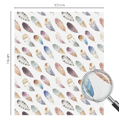 Vinilo ventana privacidad Plumas bohemias