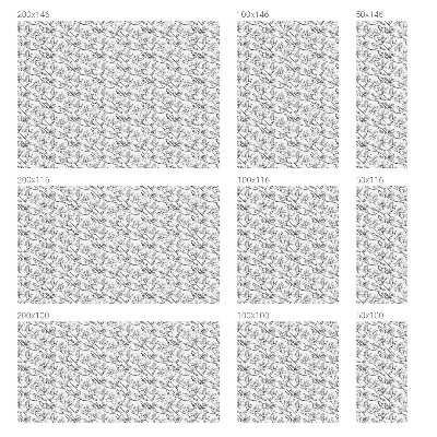 Vinilo ventana privacidad Pájaros y flores