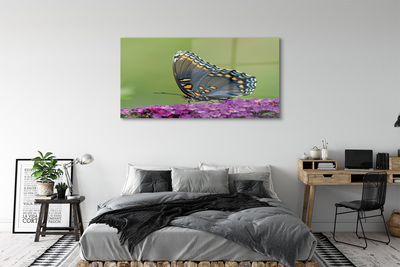 Cuadro de cristal acrílico Mariposa de colores en las flores