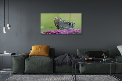 Cuadro de cristal acrílico Mariposa de colores en las flores