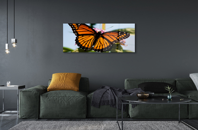 Cuadro de cristal acrílico Mariposa de colores