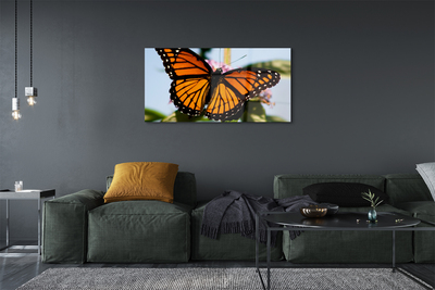 Cuadro de cristal acrílico Mariposa de colores